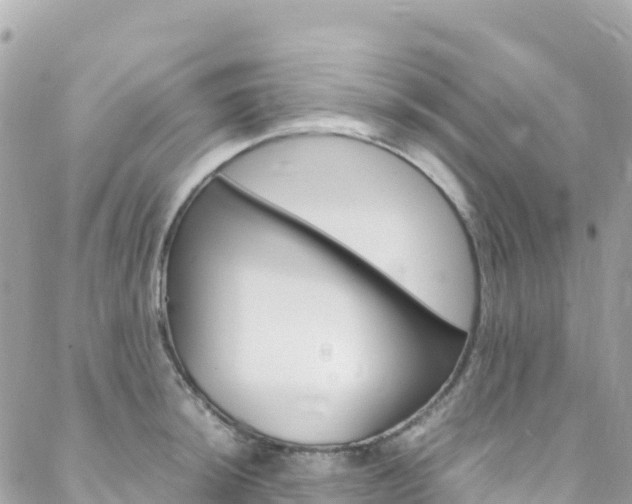 X0000088581044200705250729