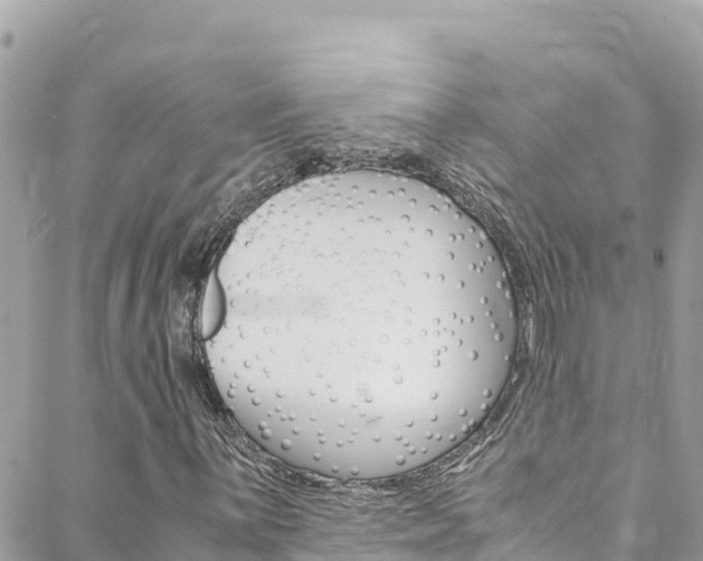 X0000088581059200705250728