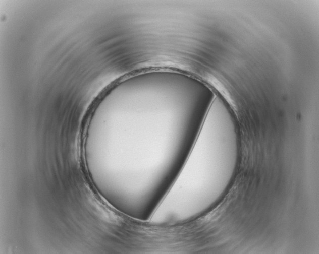 X0000088581076200705250728