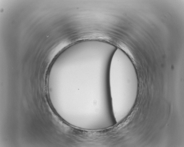 X0000088581087200705250728