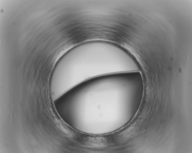 X0000088581129200705250727