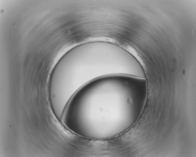 X0000088581140200705250727
