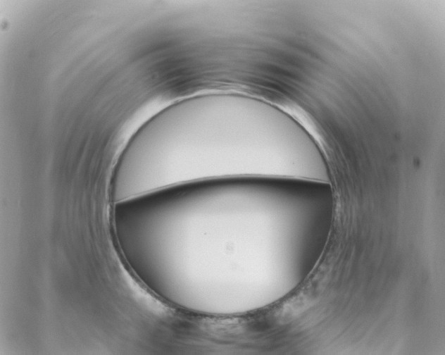 X0000088581143200705250727