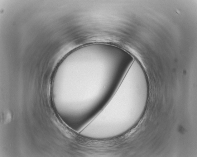 X0000088581179200705250726