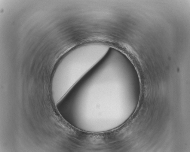 X0000088581217200705250725