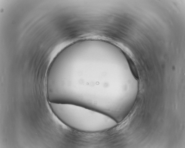X0000088581247200705250726