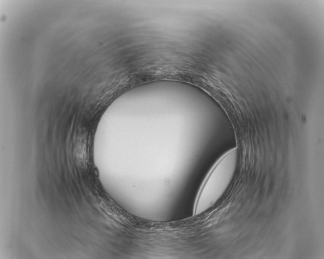 X0000088581250200705250725