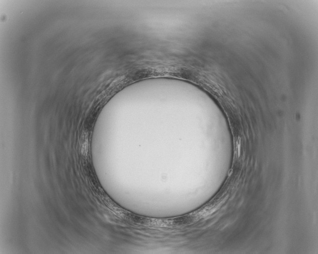 X0000088581251200705250725