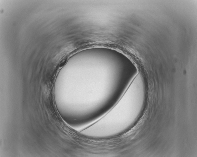 X0000088581257200705250725