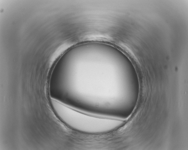 X0000088581277200705250724