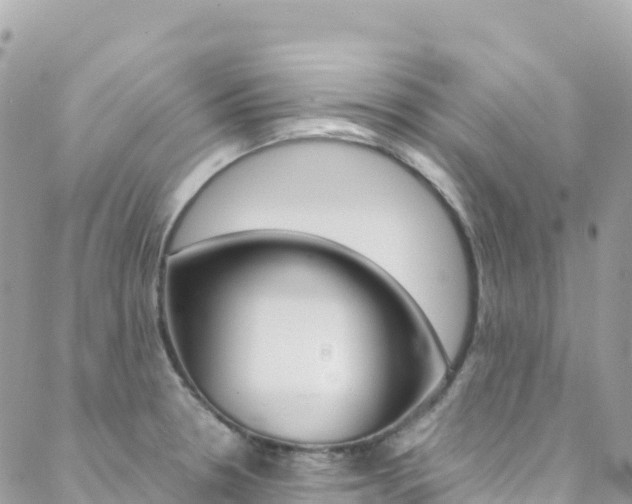 X0000088581330200705250724