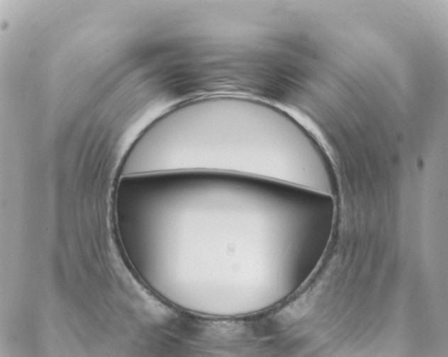 X0000088581333200705250724
