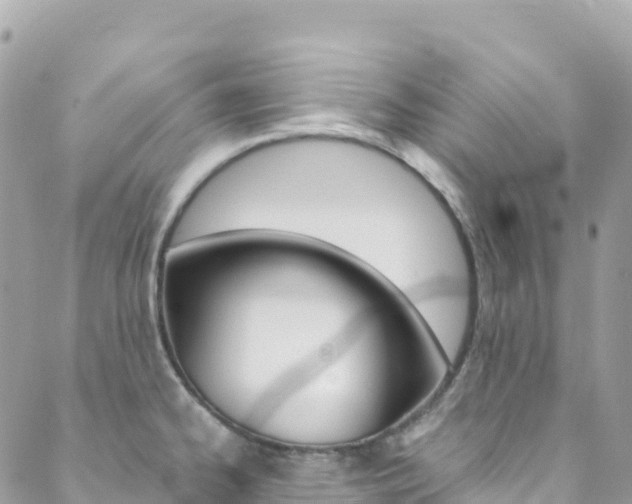 X0000088581334200705250724