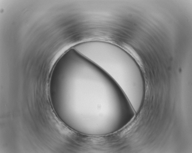 X0000088581340200705250724