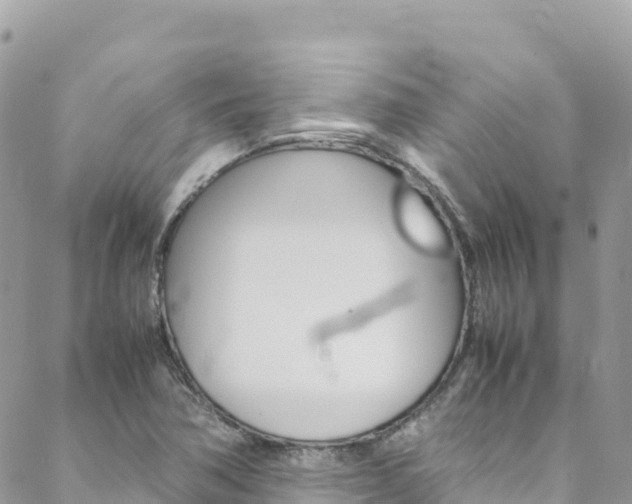 X0000088581362200705250723