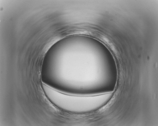 X0000088581377200705250723