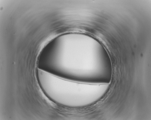 X0000088581379200705250723