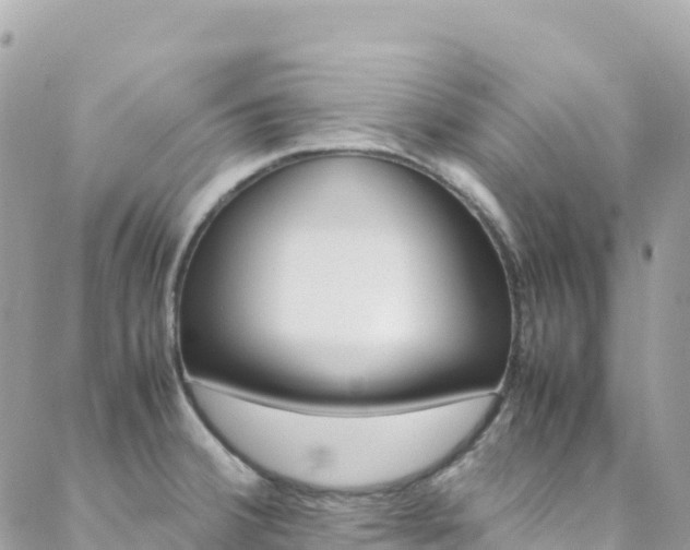 X0000088581380200705250723