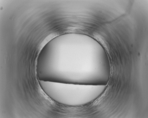 X0000088581386200705250723