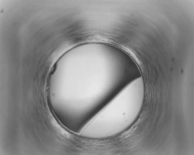 X0000088581387200705250723