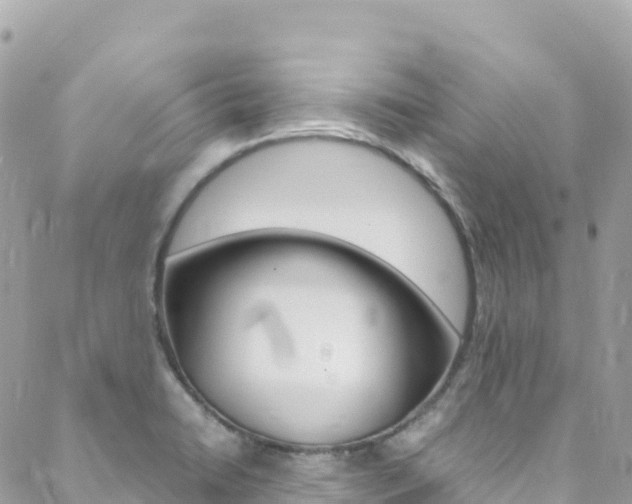 X0000088581422200705250722