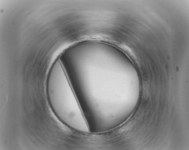 X0000088581424200705250722