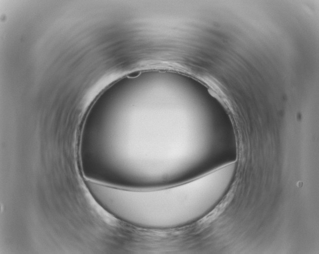 X0000088581438200705250723