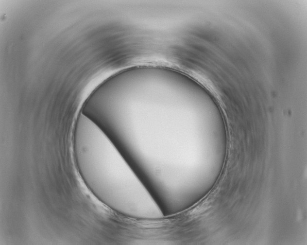 X0000088581440200705250723