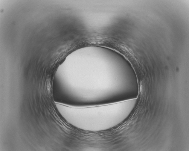 X0000088581444200705250722