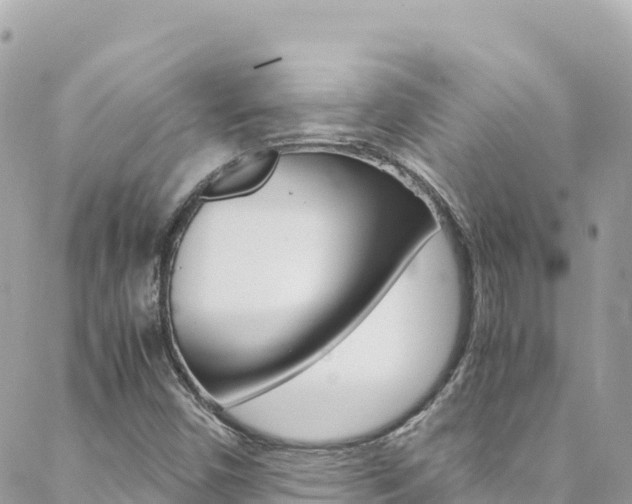X0000088581450200705250722