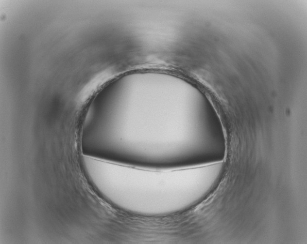 X0000088581455200705250722