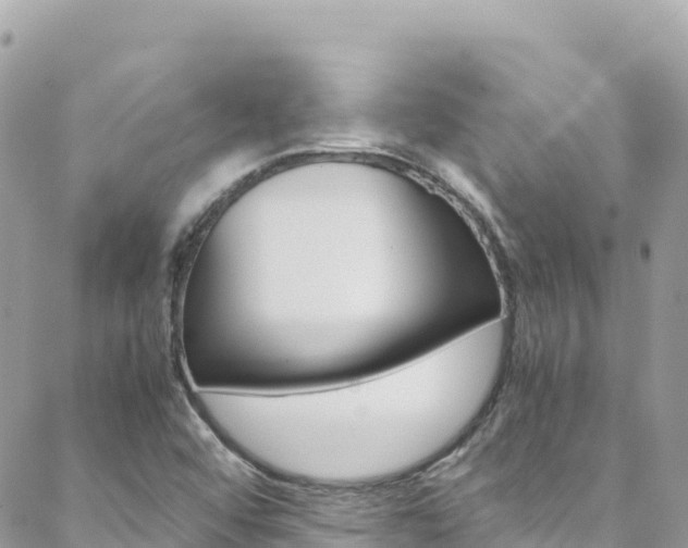 X0000088581456200705250722