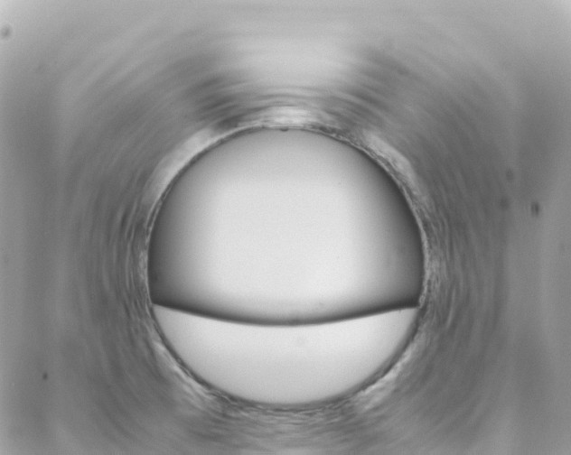 X0000088581473200705250721