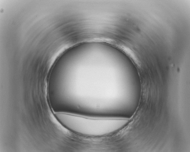 X0000088581476200705250721