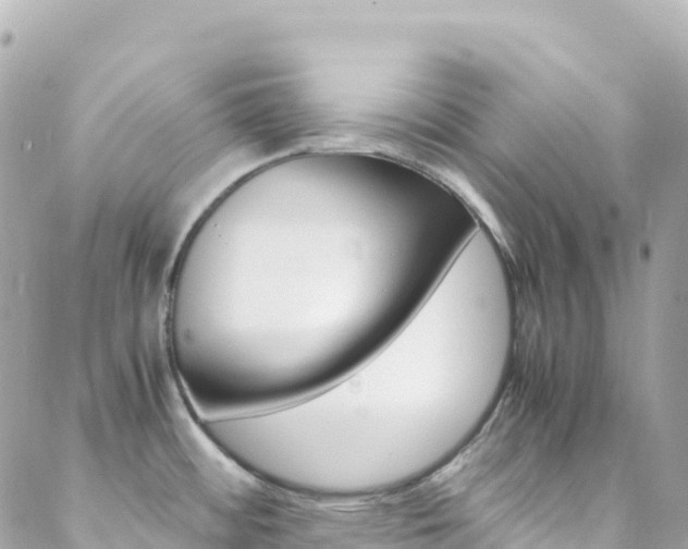 X0000088581484200705250721
