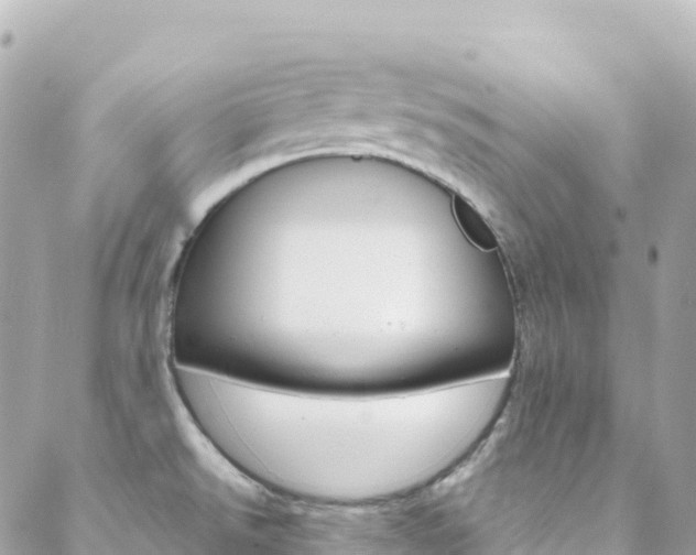 X0000088581526200705250721