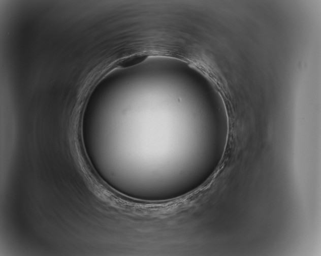 X0000088580001200705251147