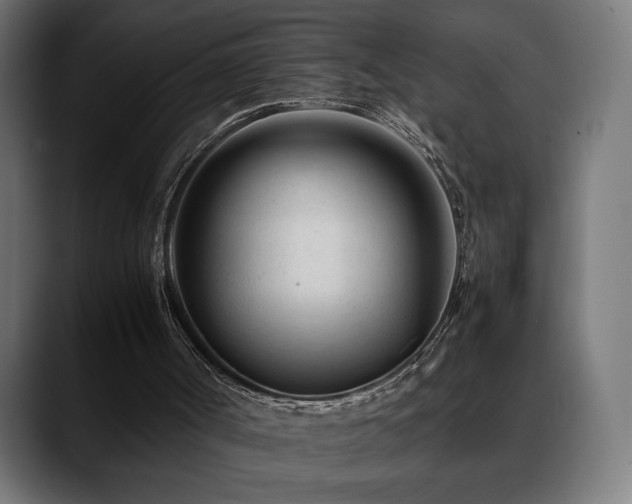 X0000088580002200705251147