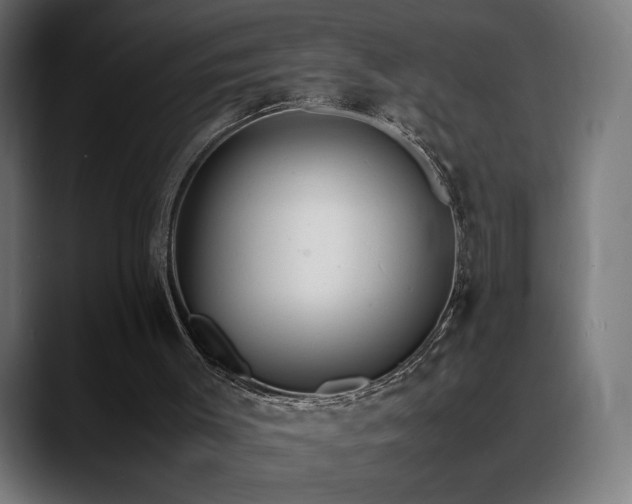 X0000088580003200705251147