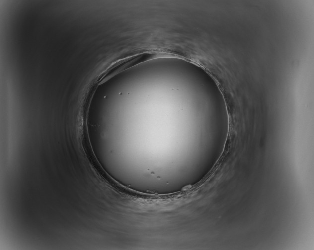 X0000088580005200705251147