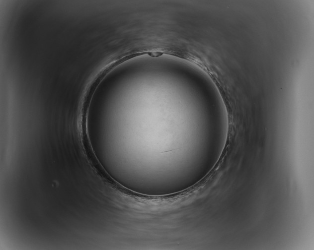 X0000088580006200705251147