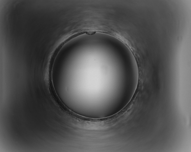 X0000088580008200705251147