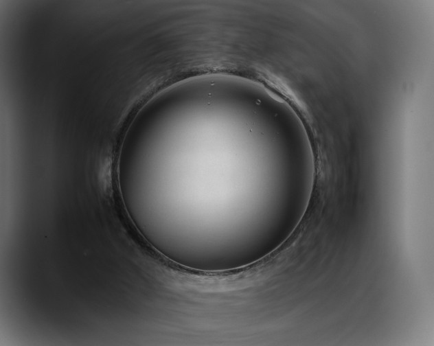 X0000088580010200705251147