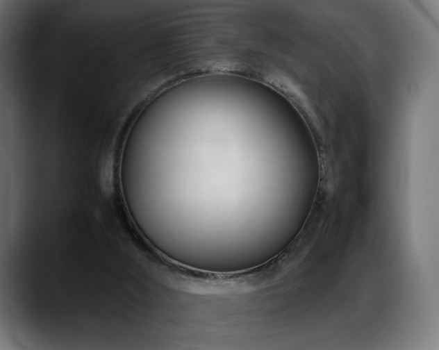 X0000088580012200705251147