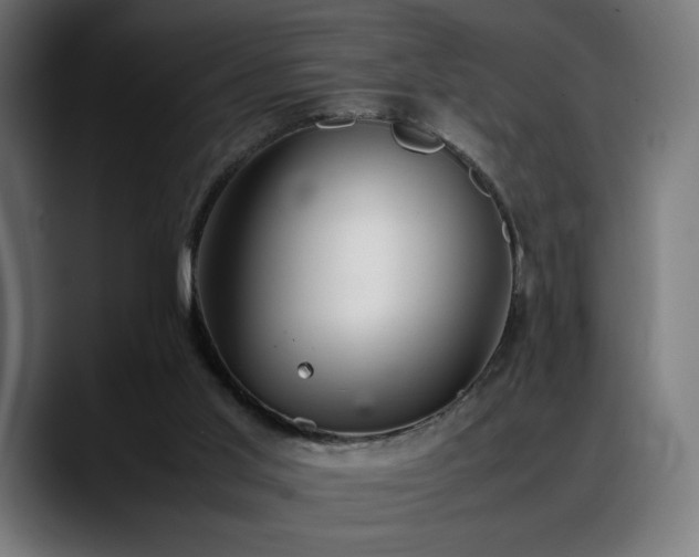 X0000088580013200705251147