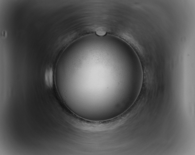 X0000088580014200705251147