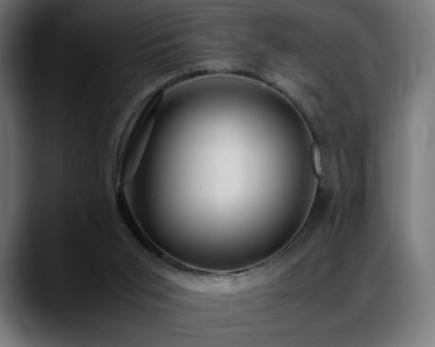 X0000088580015200705251147