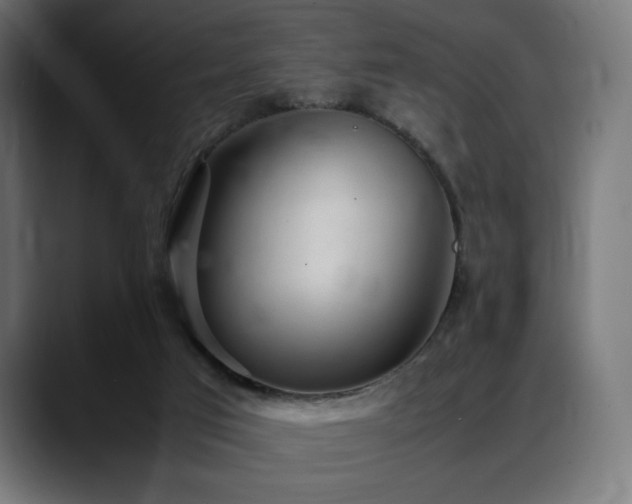 X0000088580017200705251147