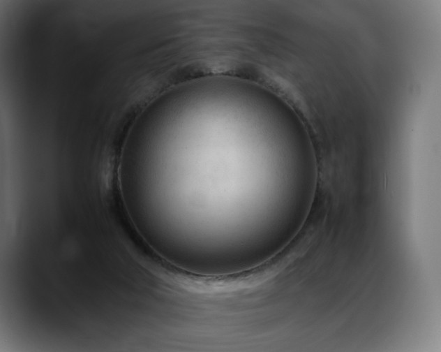 X0000088580018200705251147