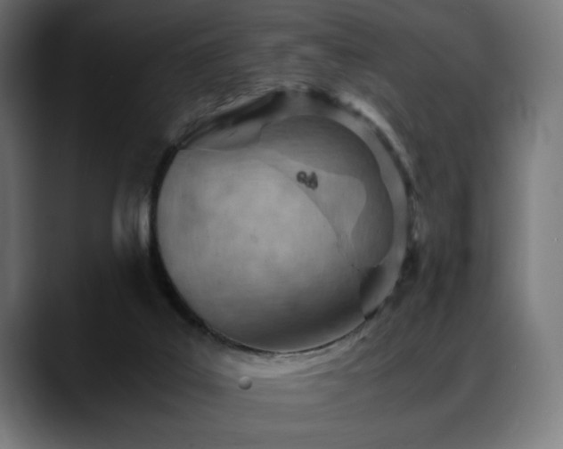 X0000088580019200705251147